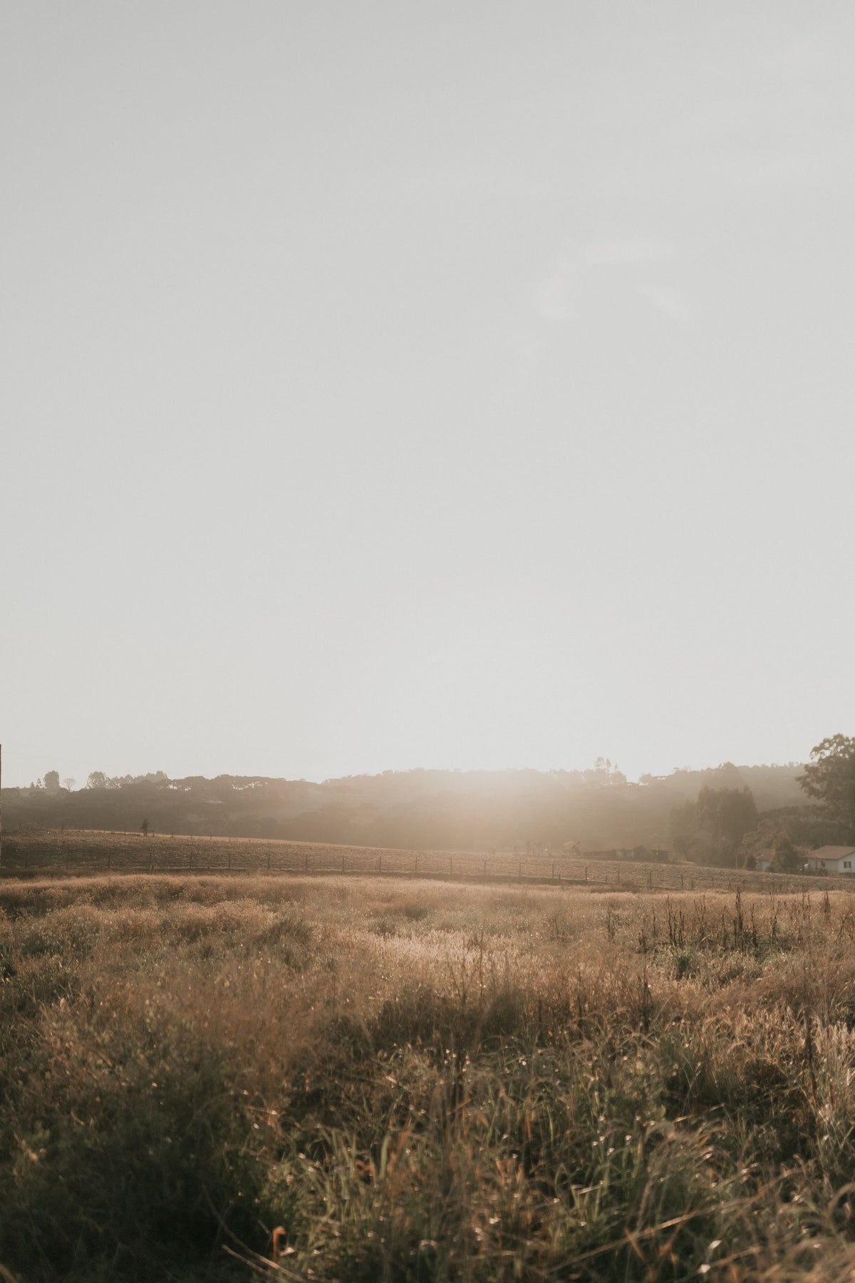 YMF hero sunrise over rolling countryside fields